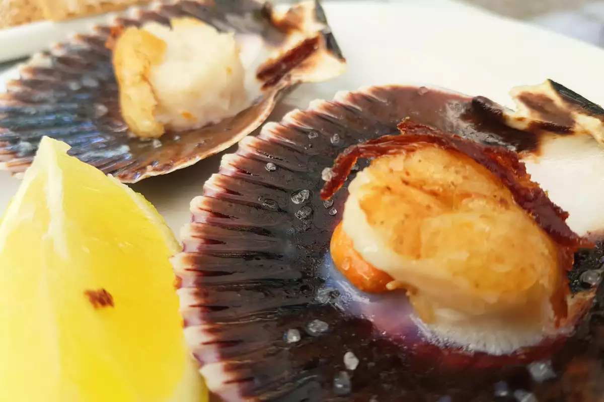 Coquilles Saint Jacques 5 Recipes Bonapeti