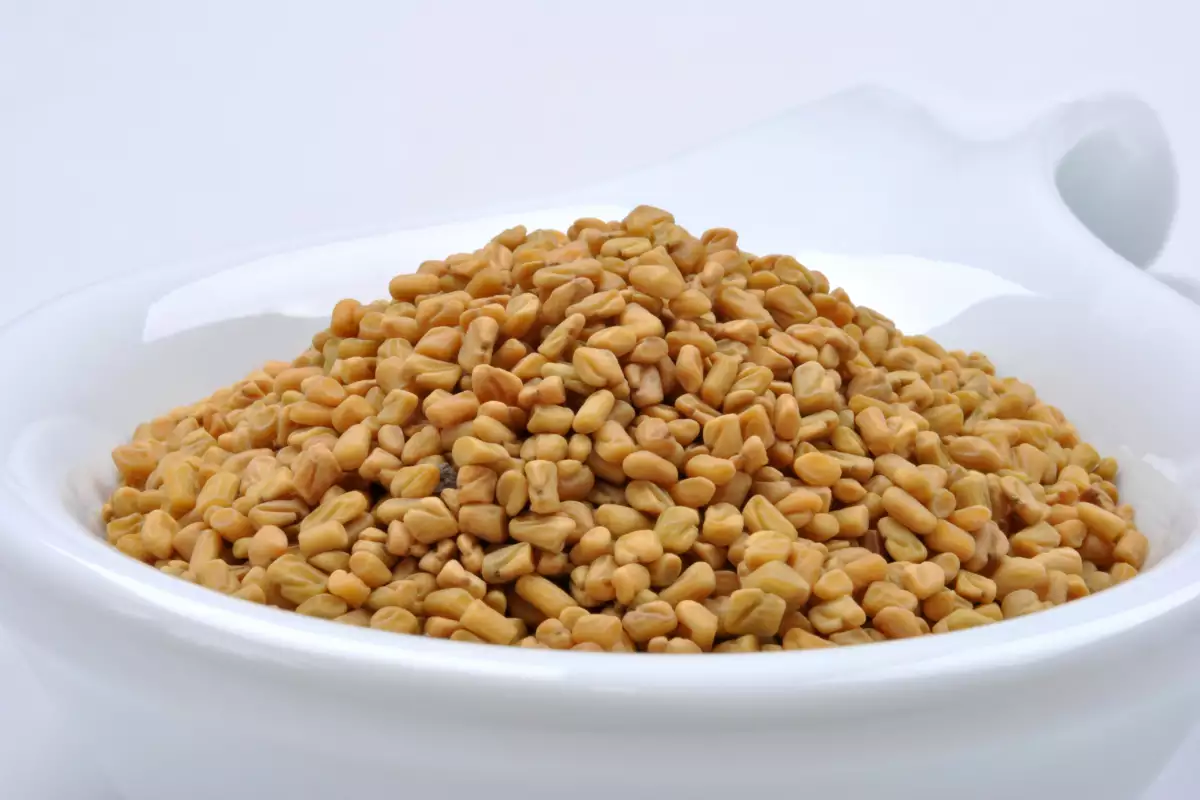 Fenugreek Bonapeti