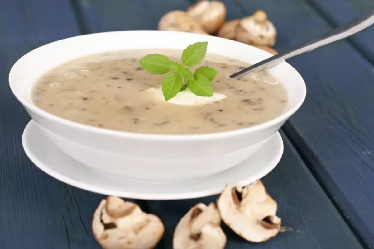 Oyster Mushroom Cream Soup - Recipe | Bonapeti.com