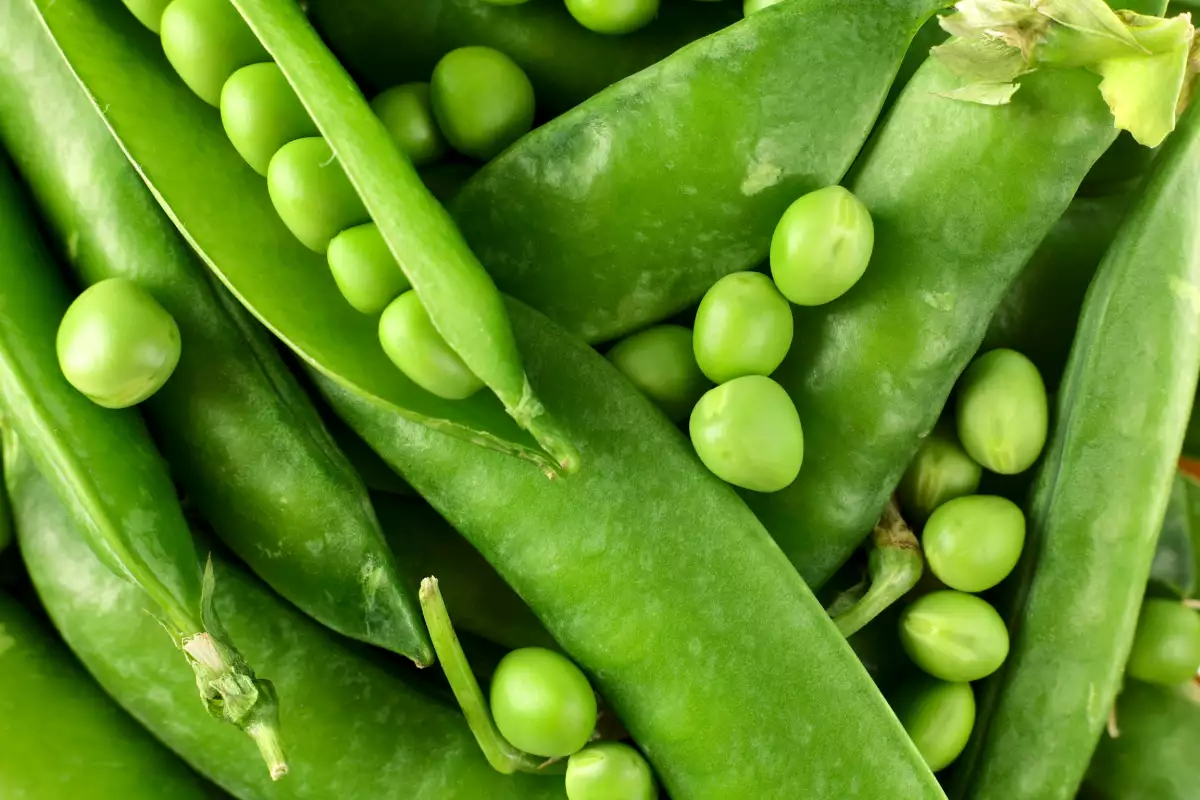 How to Blanch Peas? | Bonapeti.com