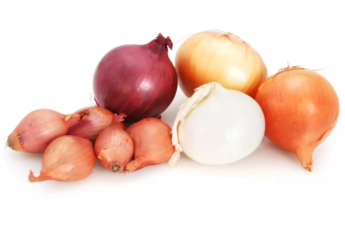 Types of onions