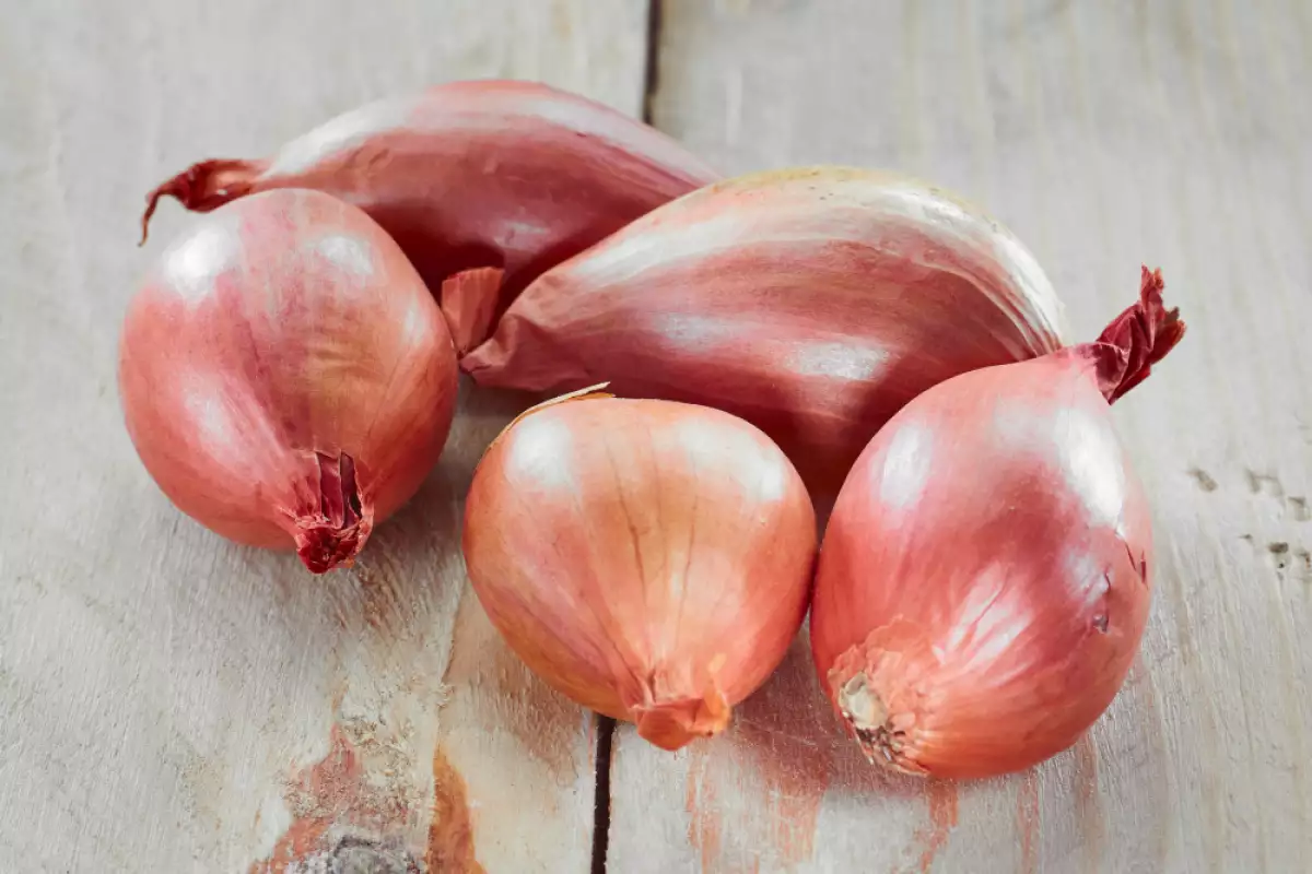 What Is the Difference Between an Onion and a Shallot?