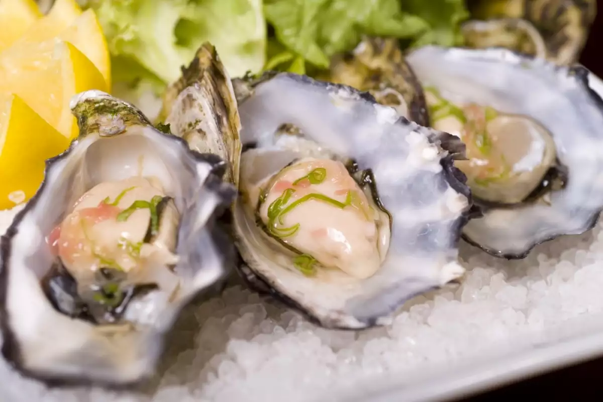 Oysters Bonapeti