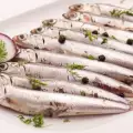 Anchovy