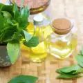 Basil Essential Oil