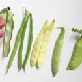 How Many Calories are in Green and Regular Beans?