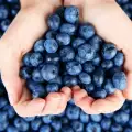 What are Blueberries Good for?