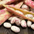 Borlotti Beans - Tasty and Dietary