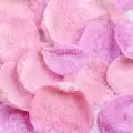 How to Make Candied Rose Petals?