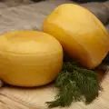 Cheddar