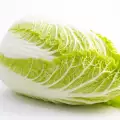 Chinese Cabbage