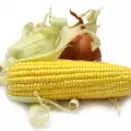 Corn