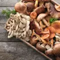 How to Store Mushrooms?