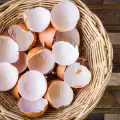 Do Not Throw Away Eggshells! They Cure A Bunch Of Diseases