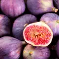 Figs Cure Diabetes and Heart Disease