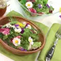 Fresh Salads with Arugula