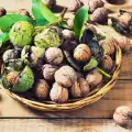 Fresh Walnuts are a Vitamin and Mineral Bomb