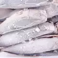 How to Defrost Fish?