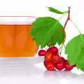 Folk Medicine with Hawthorn