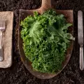 Benefits from the Consumption of Kale