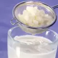 Kefir