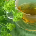 Folk Medicine with Common Lady's Mantle