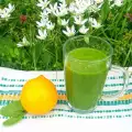 Green Smoothie for the Immune System