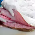 How to Fillet Fish?