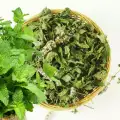 How to Dry Mint?