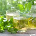 Mint Tea - Benefits and Harms
