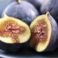 Figs - Food and Medicine