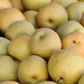 Nashi Pears