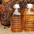 Palm oil raises cholesterol