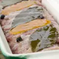 What is Terrine?