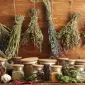 The Most Useful Herbs