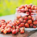 Rosehip Flour - Benefits and Uses