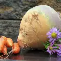 Rutabaga (Swedish Turnip) is a Powerful Ally Against Obesity!