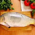 How to Clean Carp