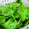 Why Should We Eat Spinach?