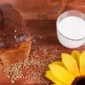 Sunflower Flour