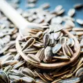 Useful Properties of Sunflower Seeds