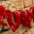 How to Dry Peppers for the Winter?