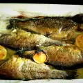 Oven-Baked Trout