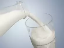 Milk