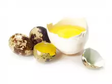 Quail eggs