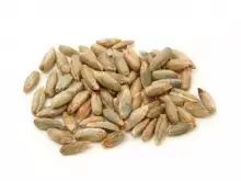 sunflower seeds