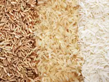 rice types