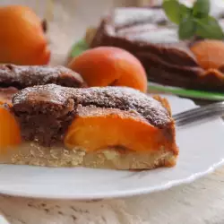 The Tastiest Apricot Cake