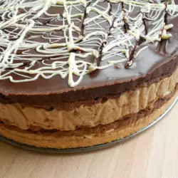 Biscuit Cake with Coffee and Chocolate Mousse