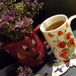 Oregano Tea (Origanum vulgare)